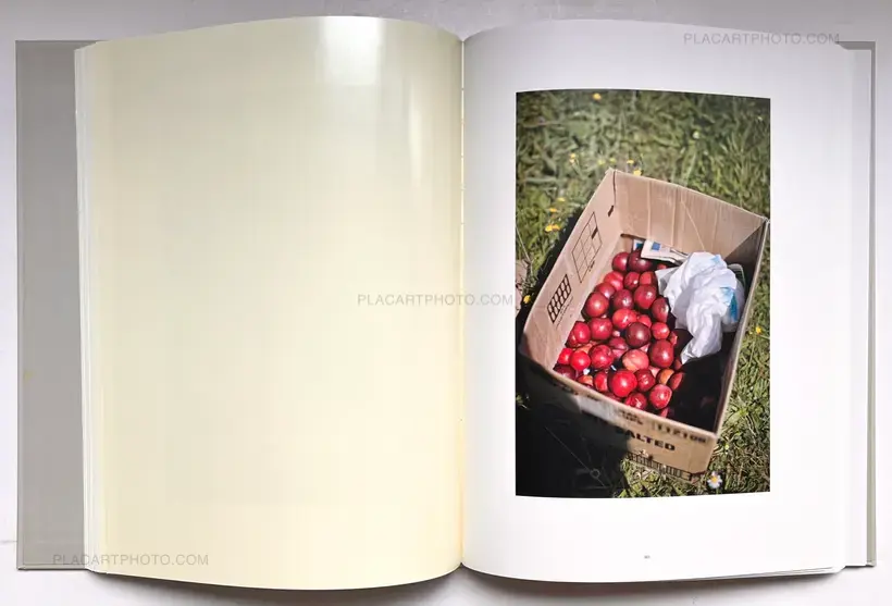 Various photographers – The Auckland Project