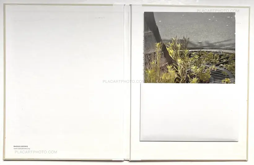 Various photographers – The Auckland Project