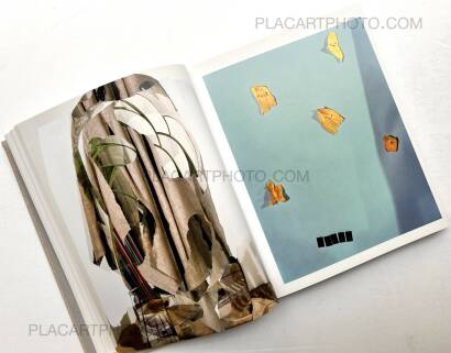 Lucas Blalock,WINDOWS MIRRORS TABLETOPS (SIGNED)