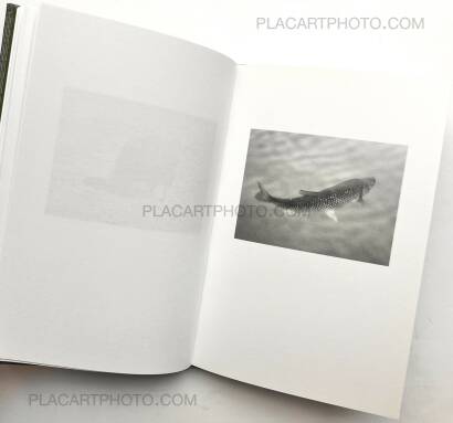 M&aring;rten Lange,ANOTHER LANGUAGE