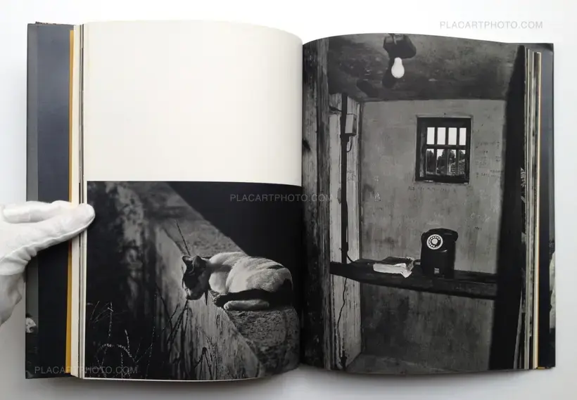 Yasuo Higa – Kamigami no shima