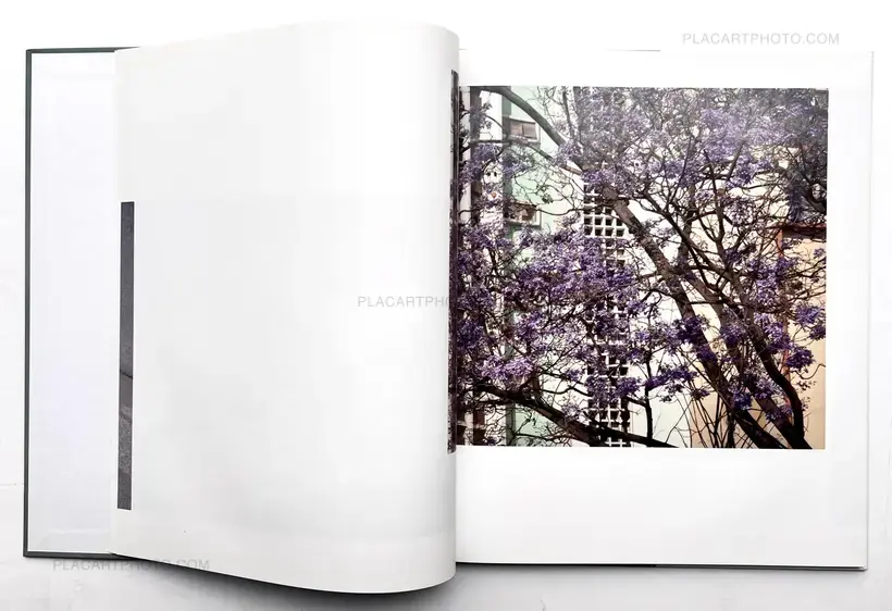 Viviane Sassen – PARASOMNIA (SIGNED)
