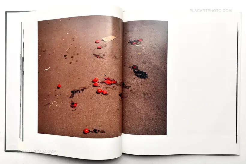 Viviane Sassen – PARASOMNIA (SIGNED)