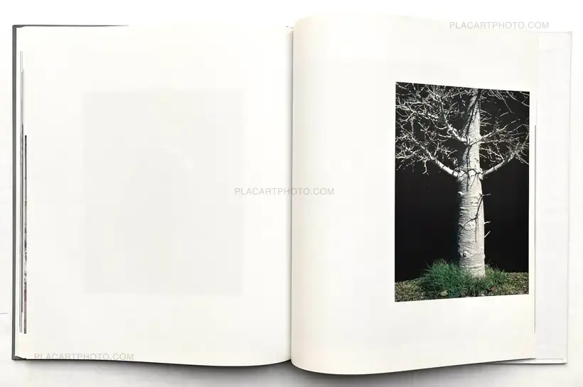Viviane Sassen – PARASOMNIA (SIGNED)