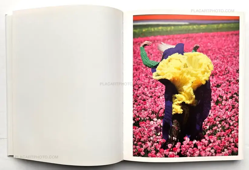 Viviane Sassen – IN AND OUT OF FASHION