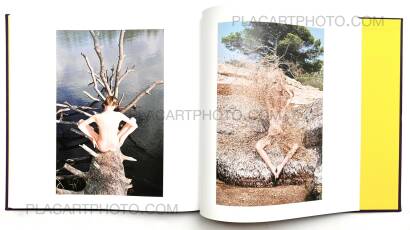 Synchrodogs,BYZANTINE