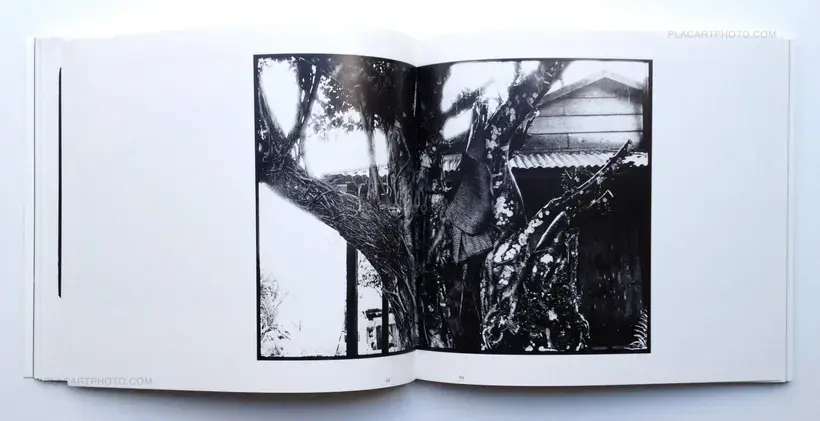 Takashi Ishimine – Hikari to kage no shima