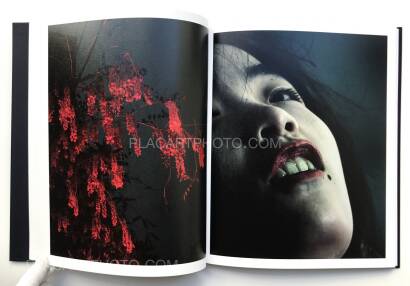 Christopher Anderson,APPROXIMATE JOY (SEALED COPY)