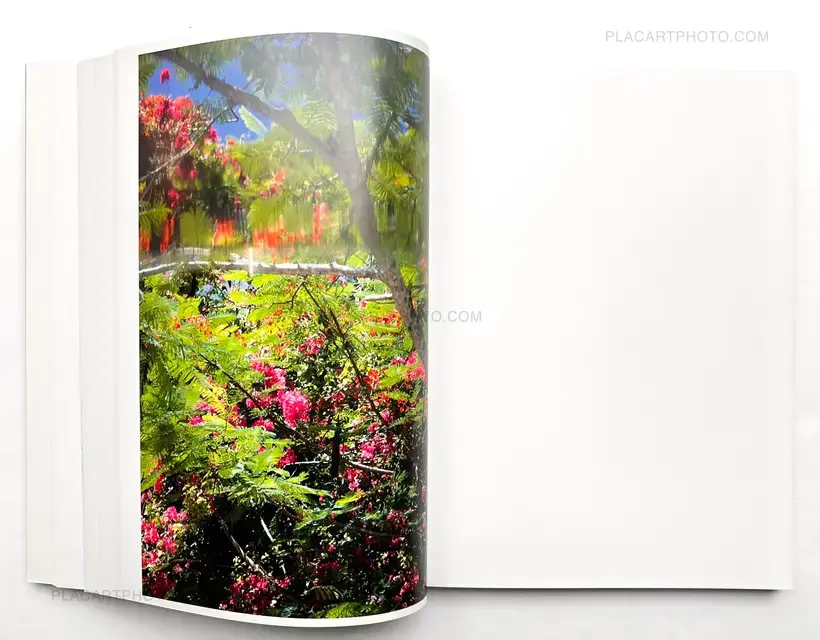 Wolfgang Tillmans – NEUE WELT