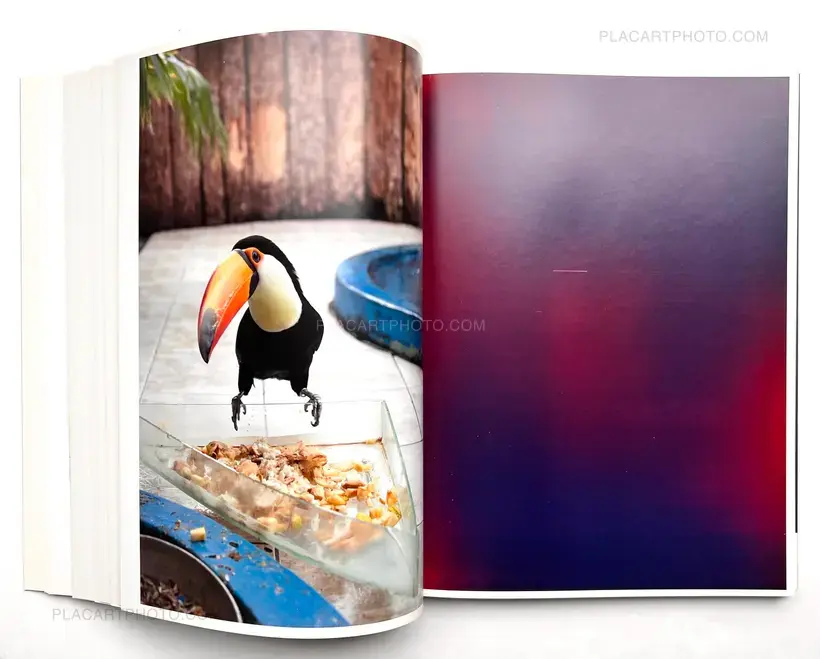 Wolfgang Tillmans – NEUE WELT
