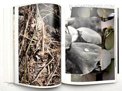 Wolfgang Tillmans,NEUE WELT