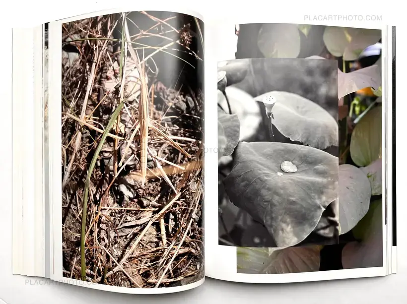Wolfgang Tillmans – NEUE WELT