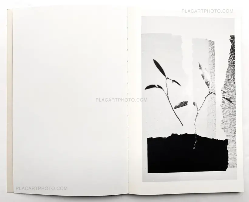 Paul Cupido – AMAZONIA