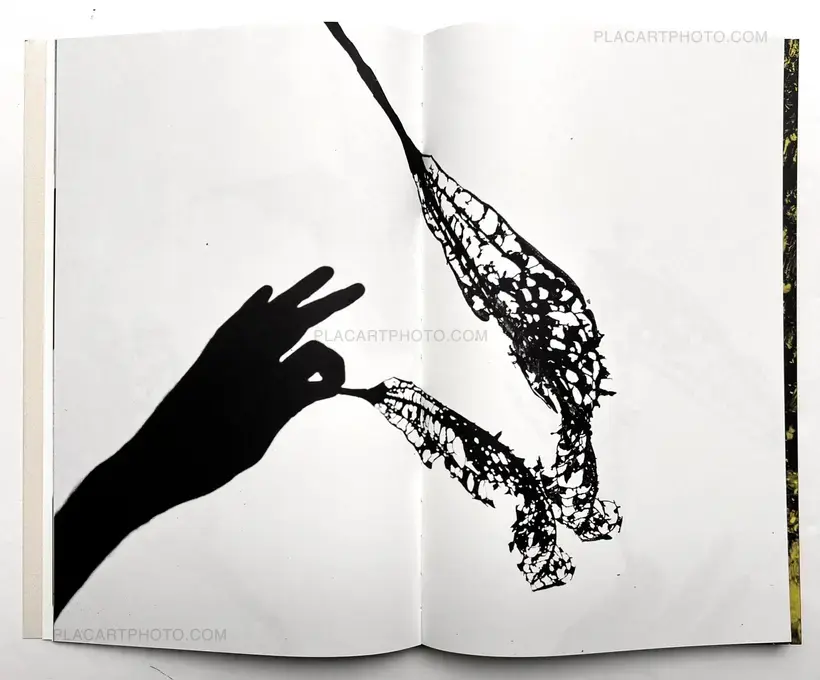 Paul Cupido – AMAZONIA