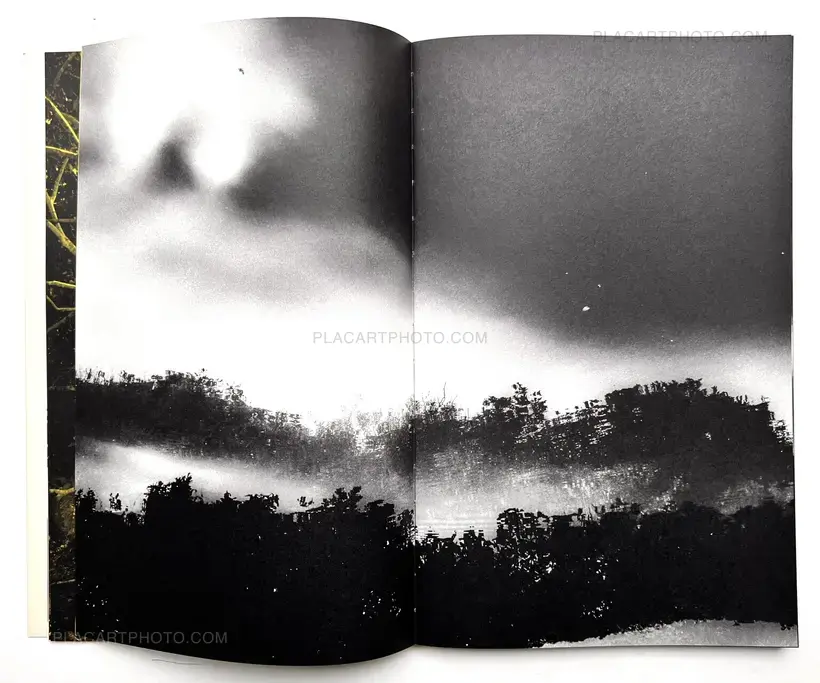 Paul Cupido – AMAZONIA