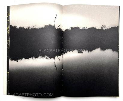 Paul Cupido,AMAZONIA