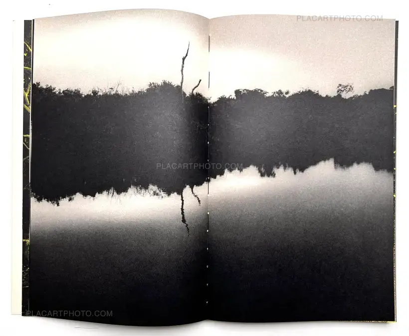 Paul Cupido – AMAZONIA