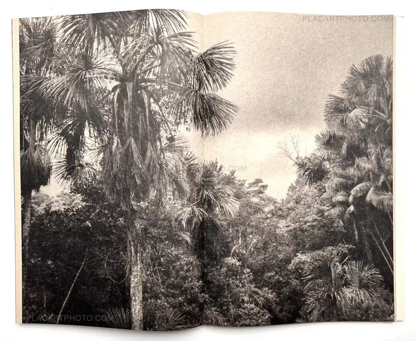 Paul Cupido – AMAZONIA