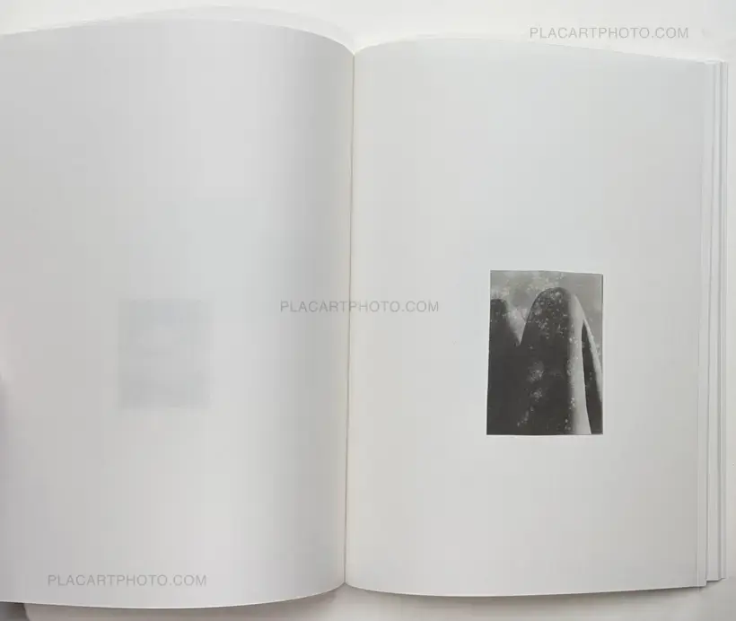 Gael del Rio and Luca Bani – Oddments 5/5 (Special edition of 5 copies)