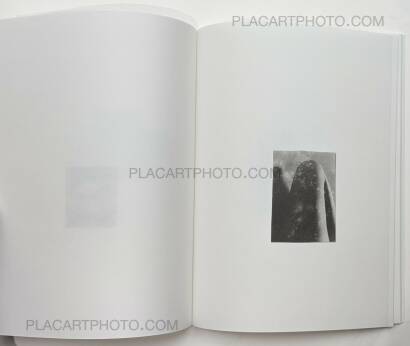 Gael del Rio and Luca Bani,Oddments 4/5 (Special edition of 5 copies)