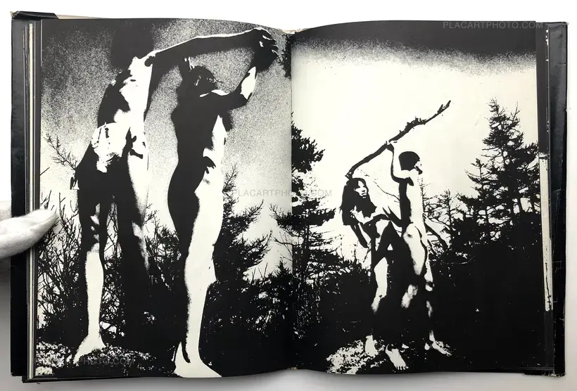 Nobuyuki Wakabayashi – Adam and Eve