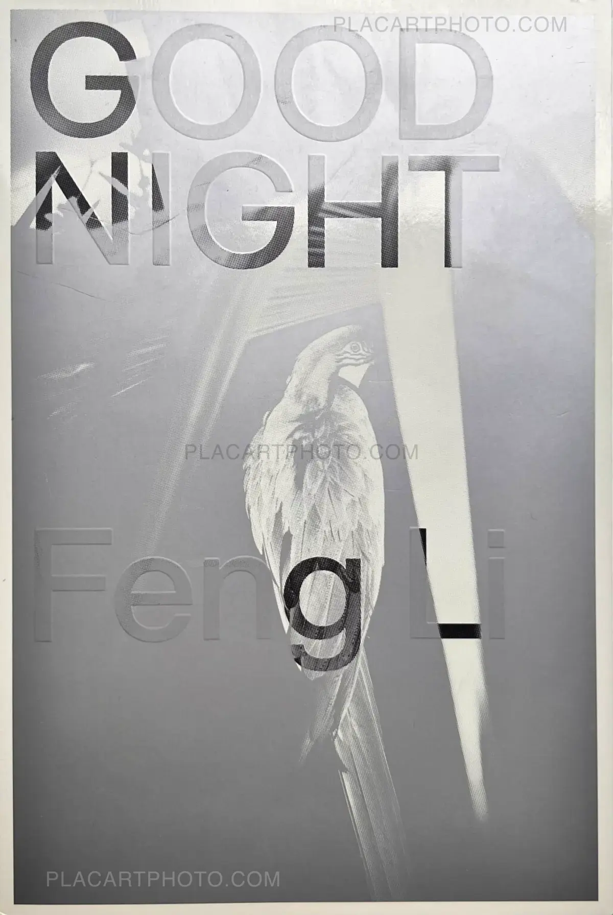 PARIS FENG LI アートブック Feng Li, GOOD NIGHT, Jiazazhi, 2022 | Le Plac'Art Photo