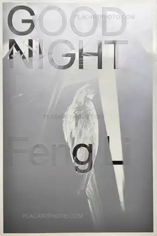 Feng Li – GOOD NIGHT