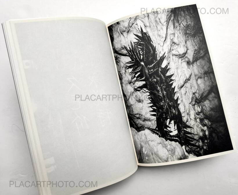 PARIS FENG LI アートブック Feng Li: GOOD NIGHT, Jiazazhi, 2022 | Bookshop Le Plac'Art Photo