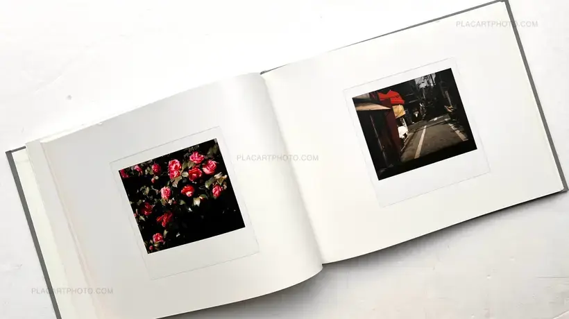Daido Moriyama – bye-bye polaroid