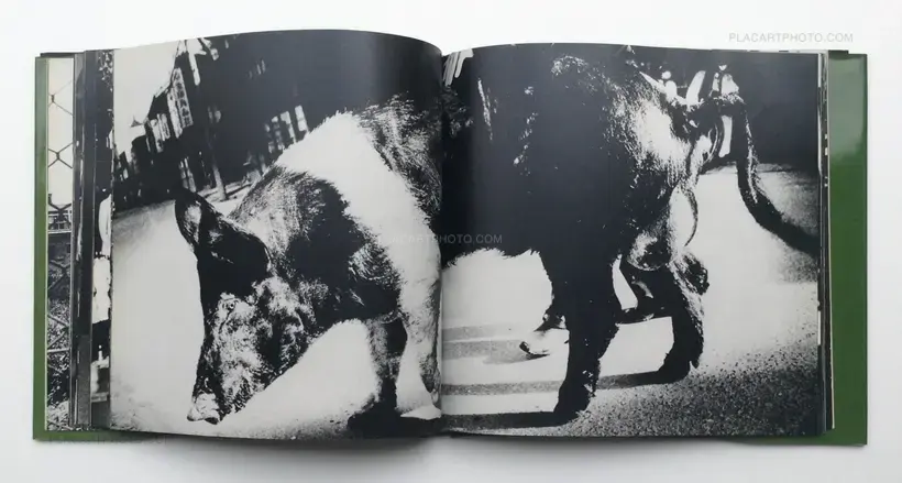 Daido Moriyama – Japan, a Photo Theater II