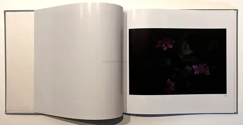 Daido Moriyama – Color 2 (Signed)