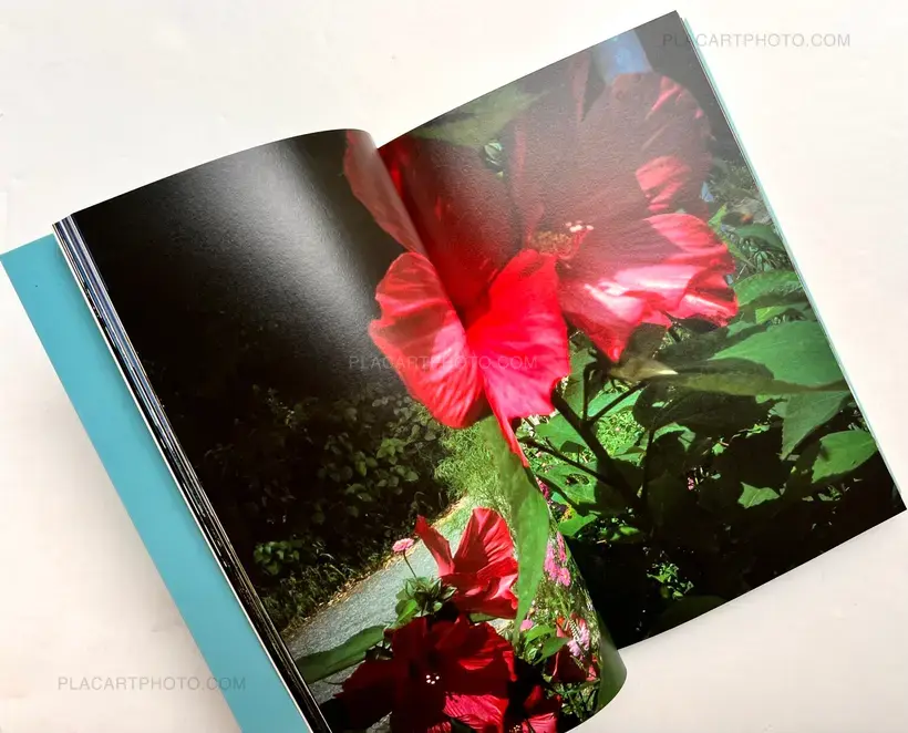 Daido Moriyama – To Nirvana and Back