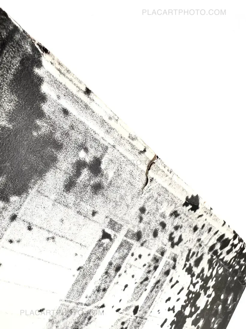 Daido Moriyama – Memories of a Dog
