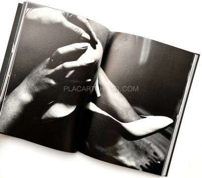 Daido Moriyama,Memories of a Dog