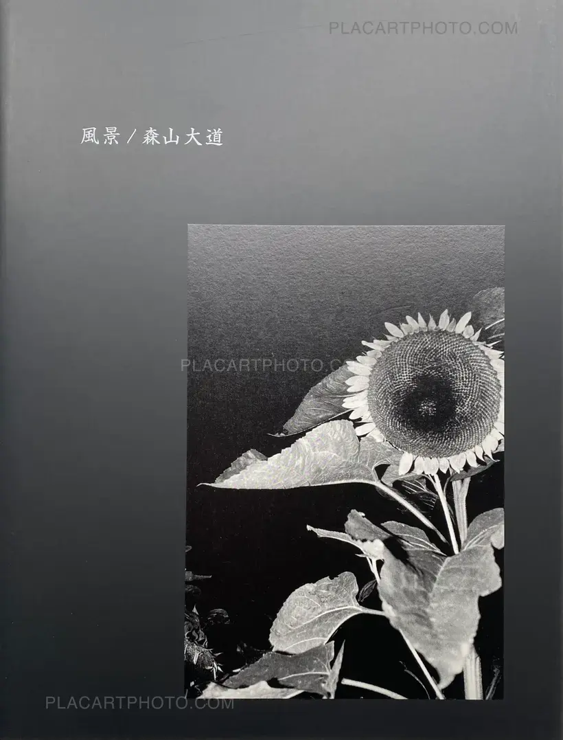 Daido Moriyama – Fukei