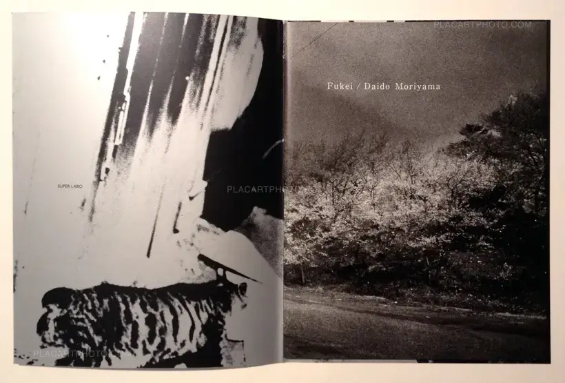 Daido Moriyama – Fukei