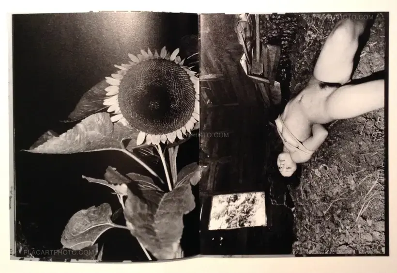 Daido Moriyama – Fukei