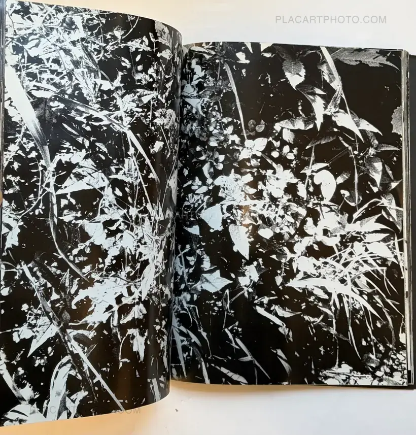 Daido Moriyama – Light and Shadow (First edition)