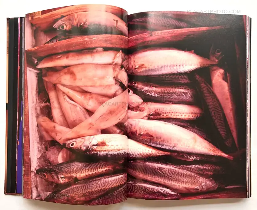 Daido Moriyama – Daido Moriyama in Color Now, and Never Again