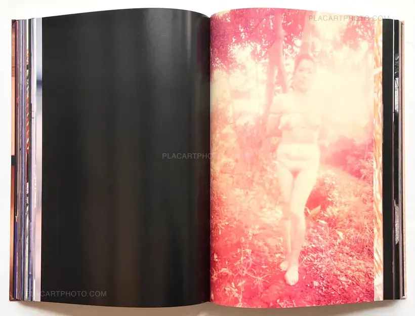 Daido Moriyama – Daido Moriyama in Color Now, and Never Again