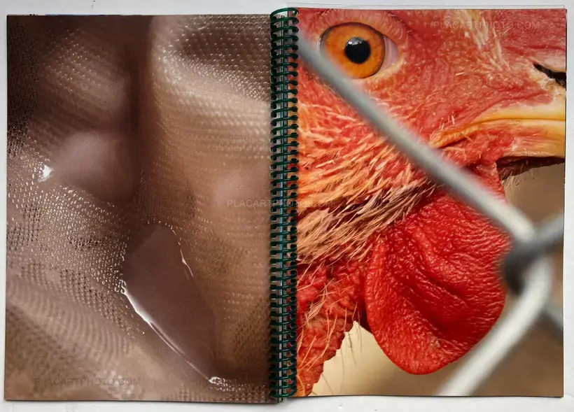 Various photographers – Maisie Cuisine Book