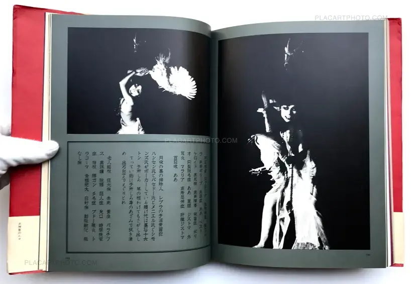 Shuji Terayama – Inugamike no hitobito : Les gens de la famille Chien Dieu