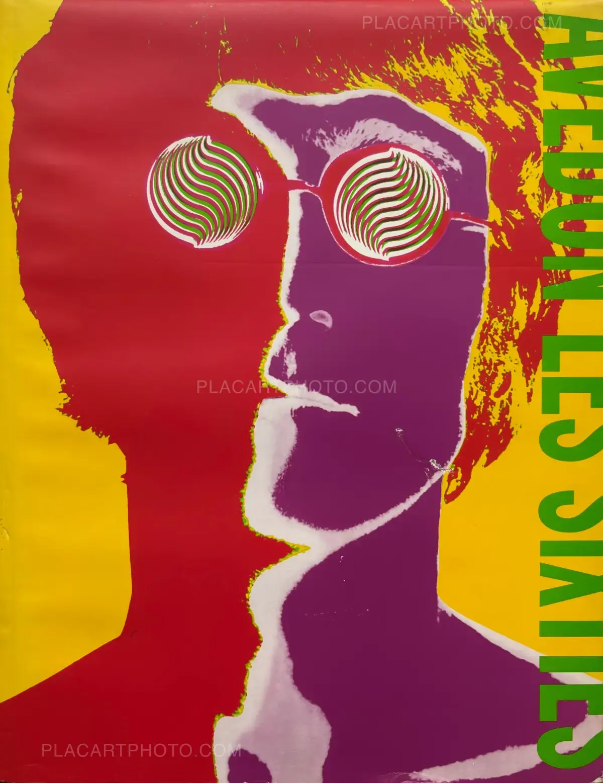 Richard Avedon, LES SIXTIES, Plume , 1999 | Le Plac'Art Photo
