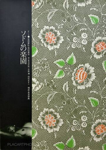 Yasuhiro Yoshioka ,The garden of Sodom
