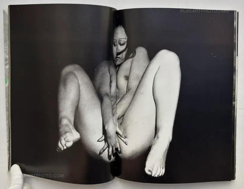 Yasuhiro Yoshioka – The garden of Sodom