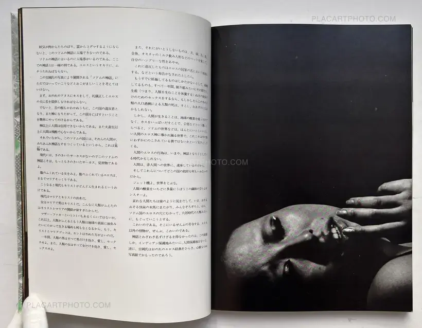 Yasuhiro Yoshioka – The garden of Sodom