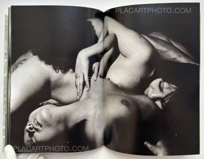 Yasuhiro Yoshioka ,The garden of Sodom