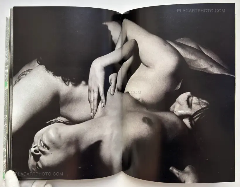 Yasuhiro Yoshioka – The garden of Sodom