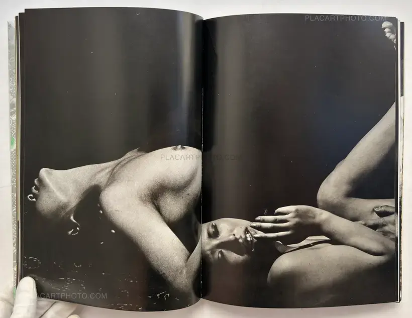 Yasuhiro Yoshioka – The garden of Sodom