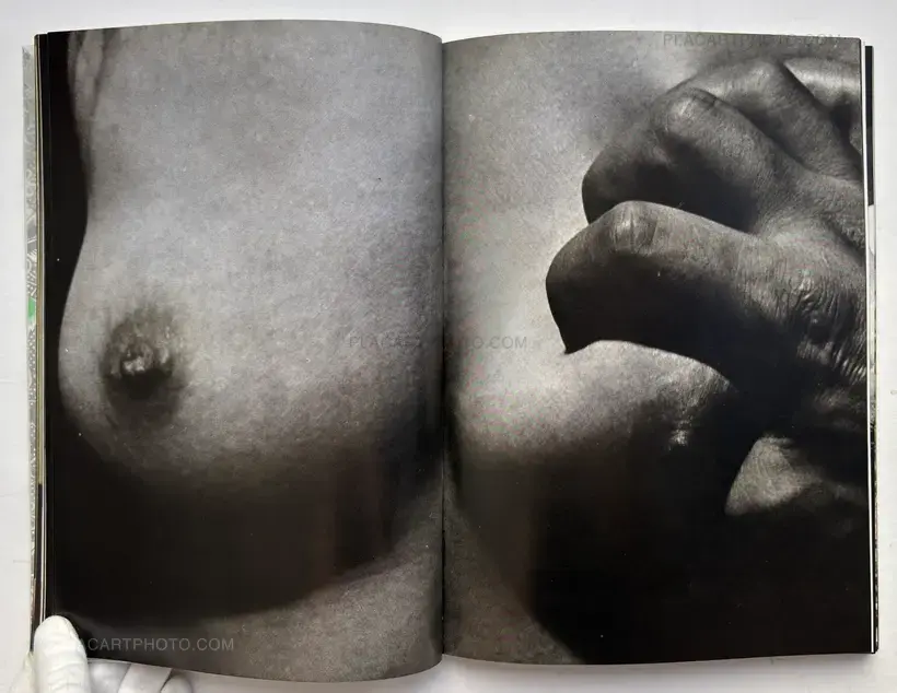 Yasuhiro Yoshioka – The garden of Sodom